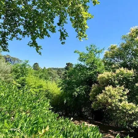 L'Annexe Du Domaine De Brisset Villa Montelimar Exterior photo